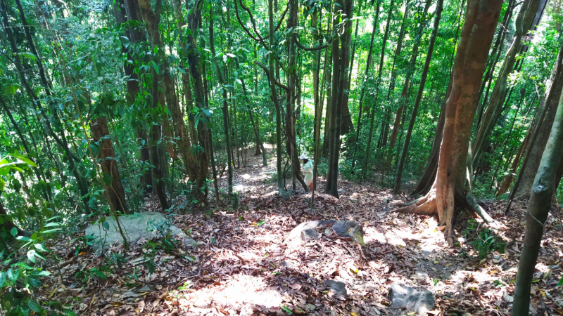 По южному Тайланду на автомобиле. Khao Lak, Khao Sok, Krabi, OA Luek, Phuket 14 дней. Пещеры, Кайаки, Горячие источники, Нац. Парки и т.п.