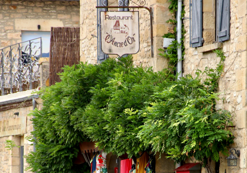 Французские зигзаги. Сентябрь 2019 г.