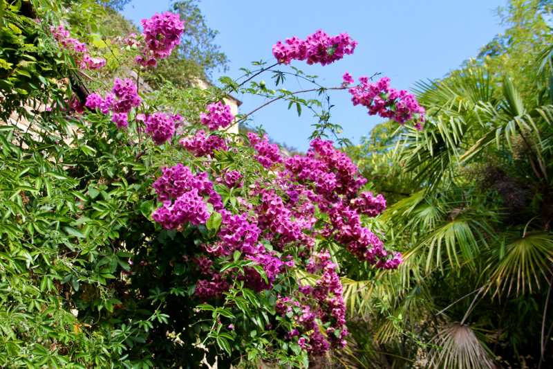 Французские зигзаги. Сентябрь 2019 г.