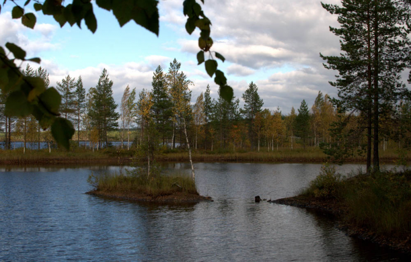 lappi