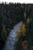 lappi