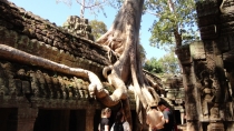 Cambo 2011