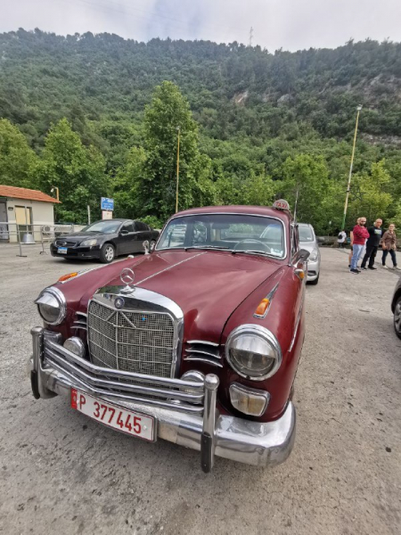 автомобильные номера мира фото