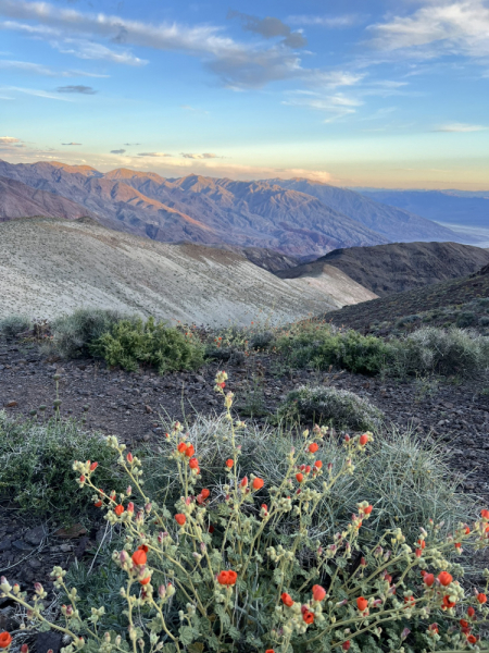 The Southwest, MAY 2024