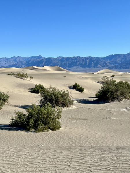 The Southwest, MAY 2024