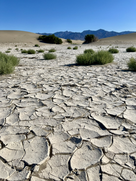 The Southwest, MAY 2024