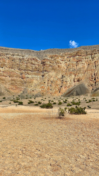 The Southwest, MAY 2024