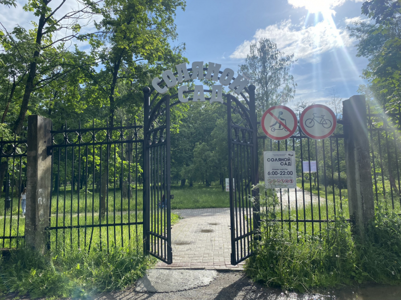 На север! Вологодские кружева, Поважские домовые росписи, Архангельские козули, Расписные небеса, Каргопольская игрушка, Онежские петроглифы...