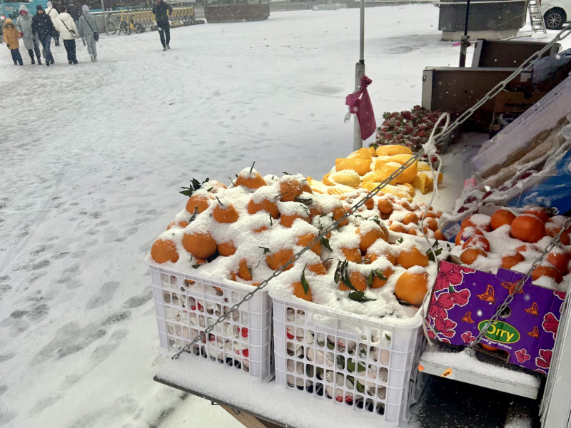 Бангкок во время чумы