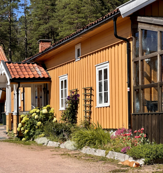 Пока мы ждем..