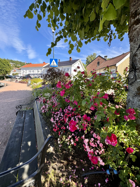 Пока мы ждем..