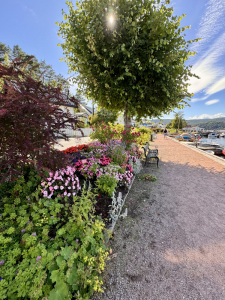 Пока мы ждем..