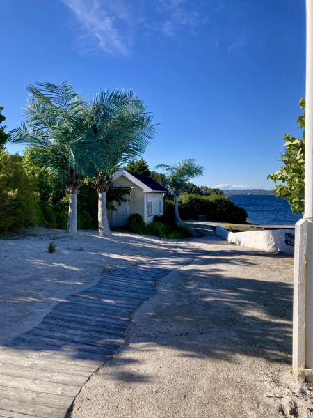 Пока мы ждем..