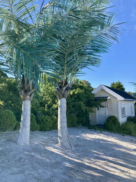 Пока мы ждем..