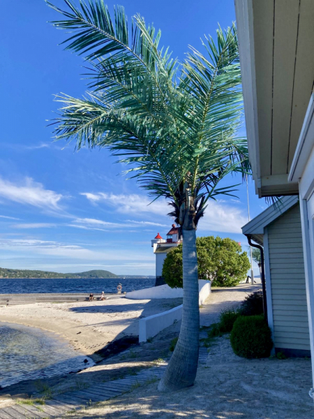 Пока мы ждем..