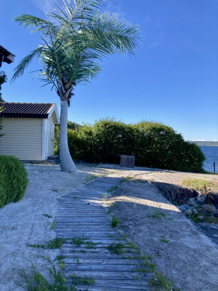 Пока мы ждем..