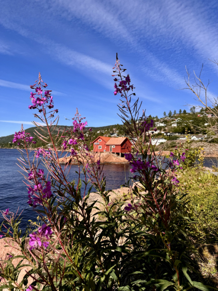 Пока мы ждем..