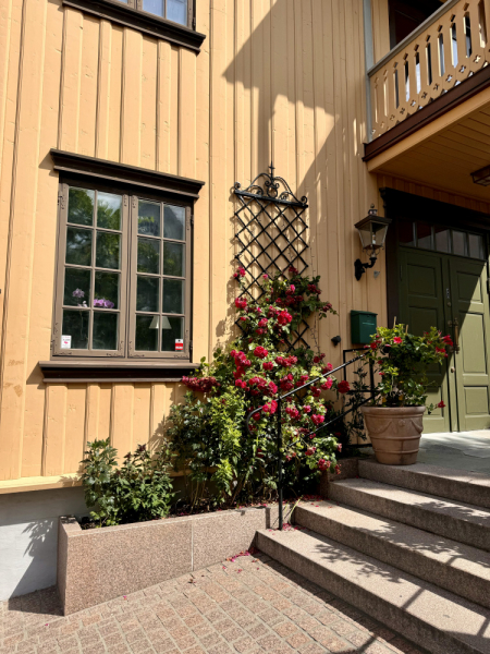 Пока мы ждем..