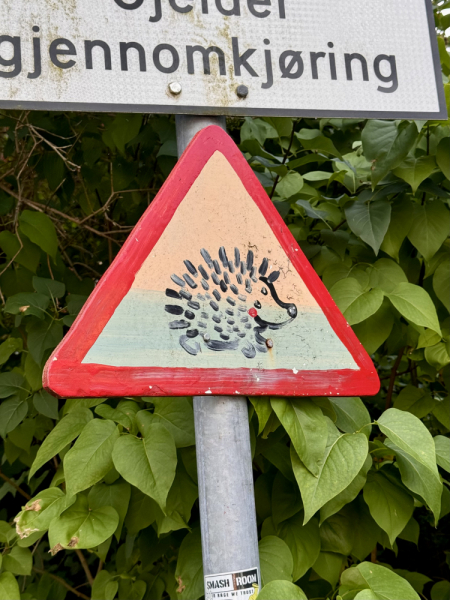 Пока мы ждем..