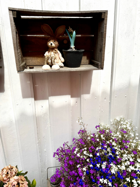 Пока мы ждем..