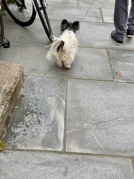 Пока мы ждем..