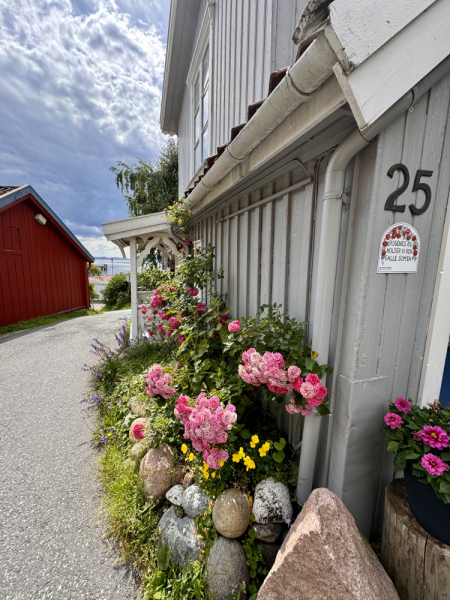 Пока мы ждем..