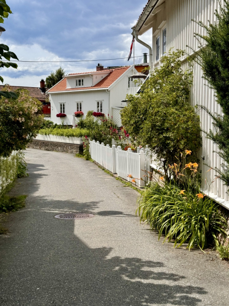 Пока мы ждем..