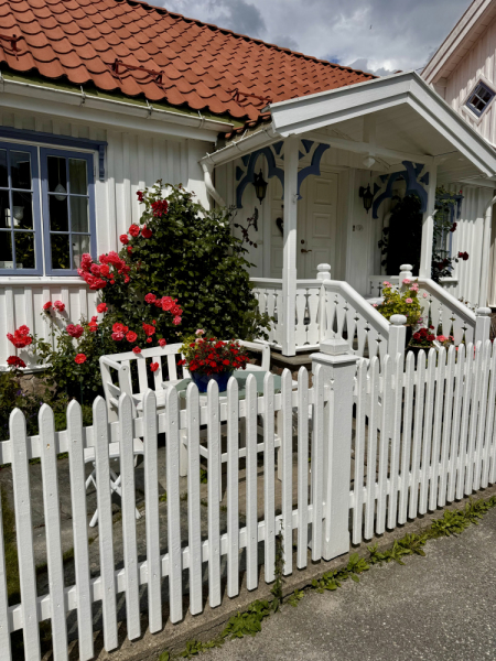 Пока мы ждем..