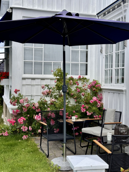 Пока мы ждем..