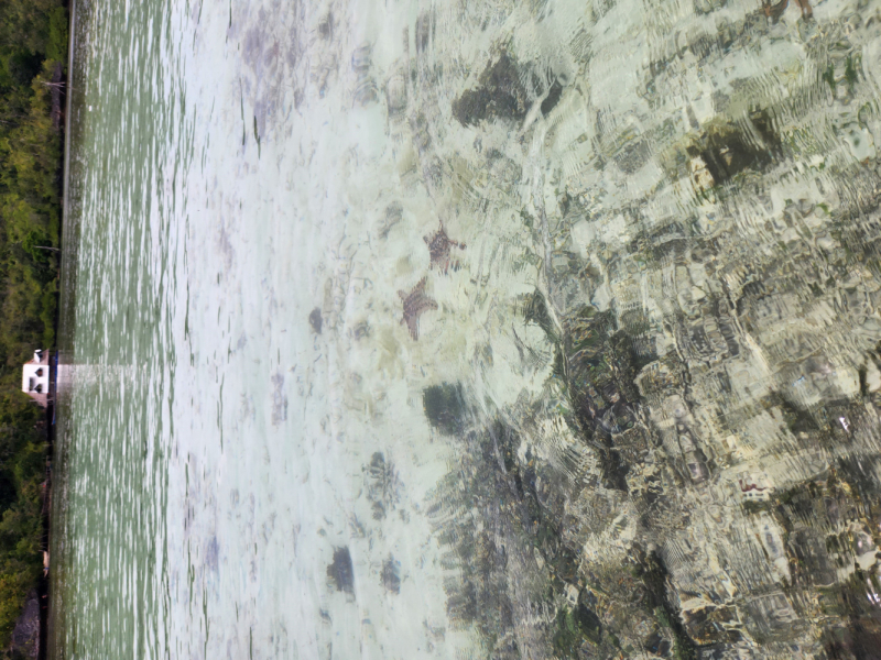 Раджа Ампат 2