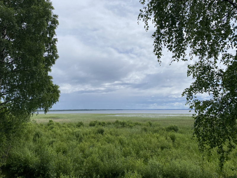 На север! Вологодские кружева, Поважские домовые росписи, Архангельские козули, Расписные небеса, Каргопольская игрушка, Онежские петроглифы...