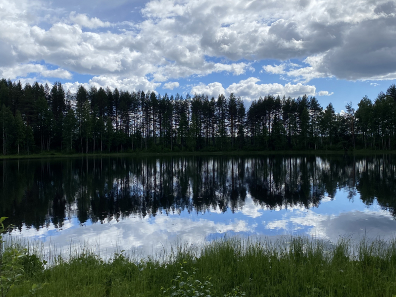 На север! Вологодские кружева, Поважские домовые росписи, Архангельские козули, Расписные небеса, Каргопольская игрушка, Онежские петроглифы...