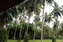 Самуи. Другая жизнь.