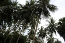 Самуи. Другая жизнь.