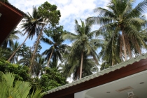 Самуи. Другая жизнь.