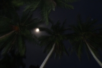 Самуи. Другая жизнь.