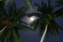 Самуи. Другая жизнь.