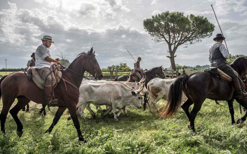 Путешествия дилетантов. Внезапная Италия.