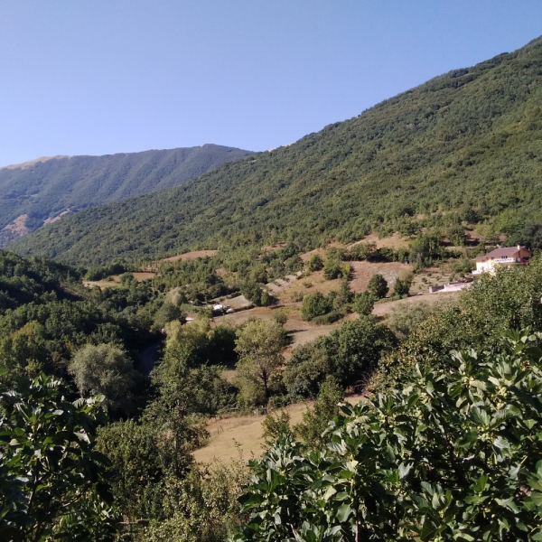 La mia vita. Римские записки, дневник онлайн