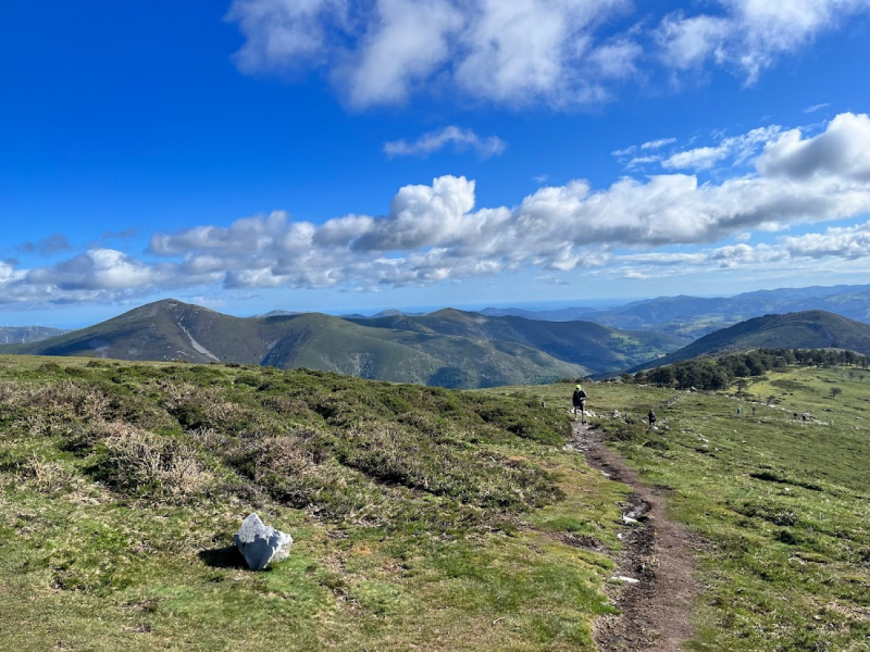 Camino Primitivo, или больная голова и ноги