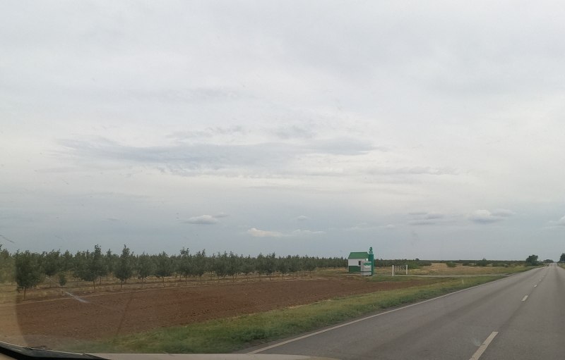 Волжский и окрестности
