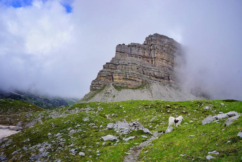 Dolomiti di Brenta (июль 2024) соло-хайк с двумя собаками Dolomiti di Brenta (июль 2024) соло-хайк с двумя собаками
