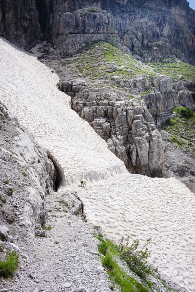 Dolomiti di Brenta (июль 2024) соло-хайк с двумя собаками Dolomiti di Brenta (июль 2024) соло-хайк с двумя собаками