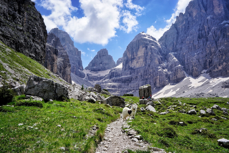 Dolomiti di Brenta (июль 2024) соло-хайк с двумя собаками Dolomiti di Brenta (июль 2024) соло-хайк с двумя собаками