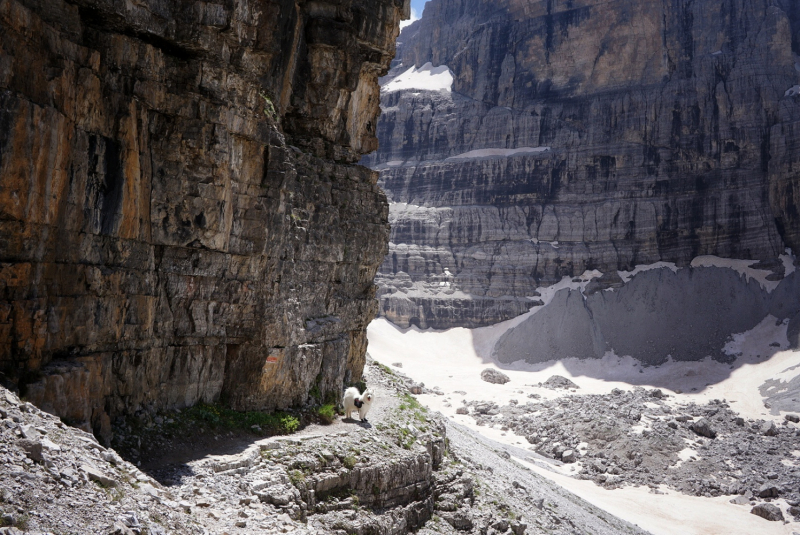 Dolomiti di Brenta (июль 2024) соло-хайк с двумя собаками Dolomiti di Brenta (июль 2024) соло-хайк с двумя собаками