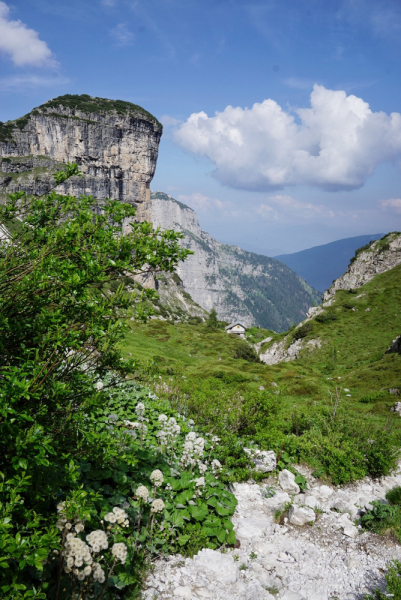 Dolomiti di Brenta (июль 2024) соло-хайк с двумя собаками Dolomiti di Brenta (июль 2024) соло-хайк с двумя собаками