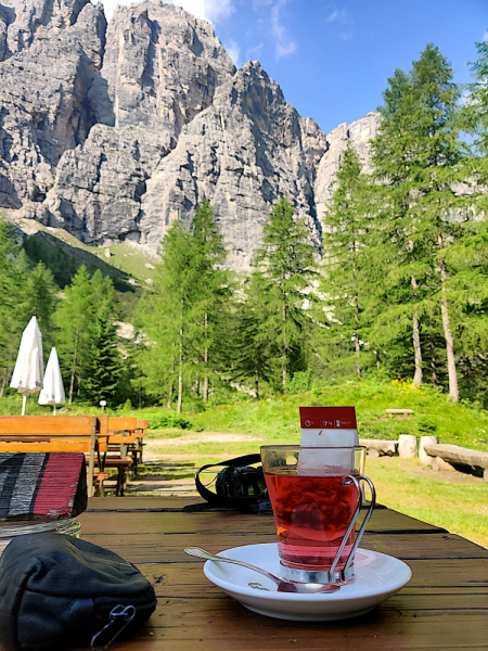 Dolomiti di Brenta (июль 2024) соло-хайк с двумя собаками Dolomiti di Brenta (июль 2024) соло-хайк с двумя собаками