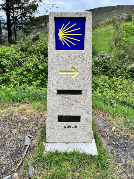 Camino Primitivo, или больная голова и ноги