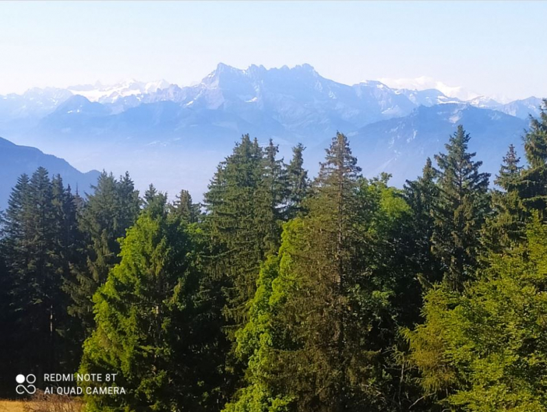 Море адреналина в Пеннинских Альпах или 280 км соло по Alpine passes trail