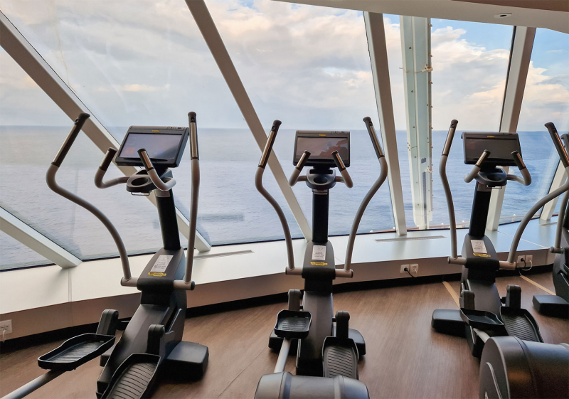 Некруизёр в круизе: дневник. Celebrity Edge, Индия - Шри-Ланка - Таиланд, ноябрь 2023